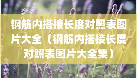 钢筋内搭接长度对照表图片大全(钢筋内搭接长度对照表图片大全集)