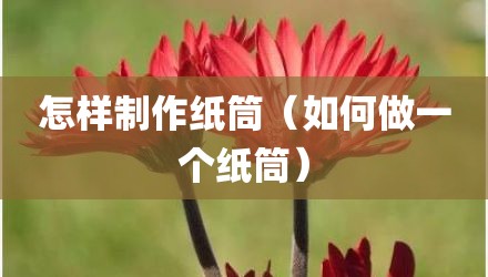 怎样制作纸筒（如何做一个纸筒）