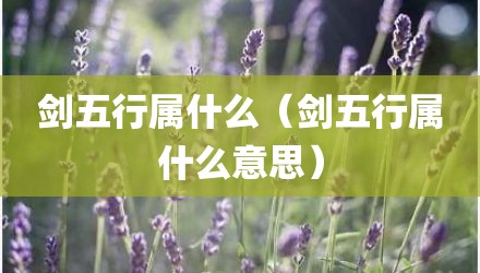 剑五行属什么（剑五行属什么意思）
