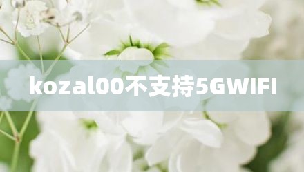 kozal00不支持5GWIFI