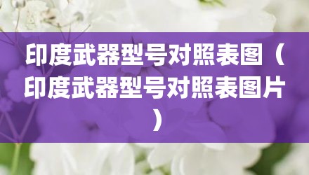 印度武器型号对照表图（印度武器型号对照表图片）