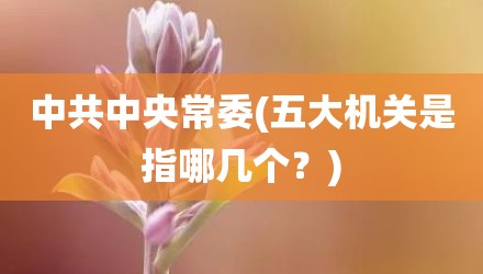 中共中央常委(五大机关是指哪几个？)