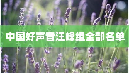 中国好声音汪峰组全部名单