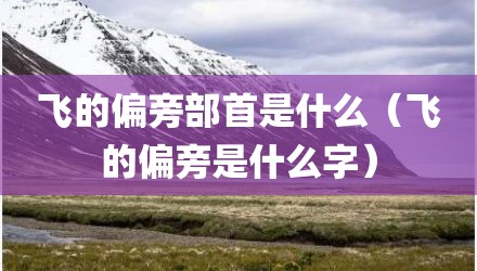 飞的偏旁部首是什么（飞的偏旁是什么字）