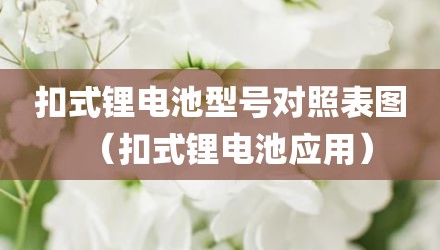 扣式锂电池型号对照表图（扣式锂电池应用）