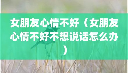 女朋友心情不好（女朋友心情不好不想说话怎么办）