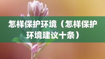 怎样保护环境（怎样保护环境建议十条）