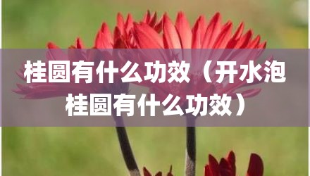 桂圆有什么功效（开水泡桂圆有什么功效）