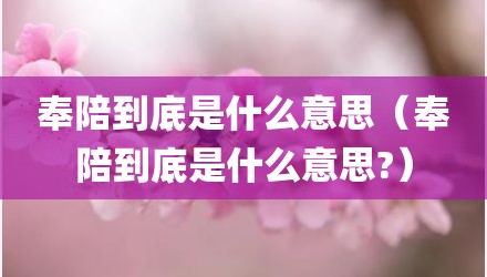 奉陪到底是什么意思（奉陪到底是什么意思?）
