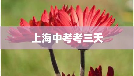 上海中考考三天