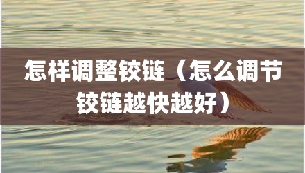 怎样调整铰链（怎么调节铰链越快越好）