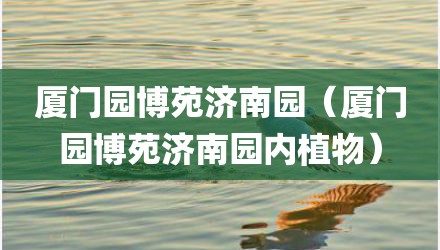 厦门园博苑济南园（厦门园博苑济南园内植物）