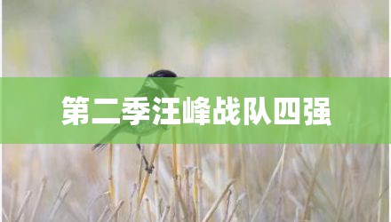 第二季汪峰战队四强