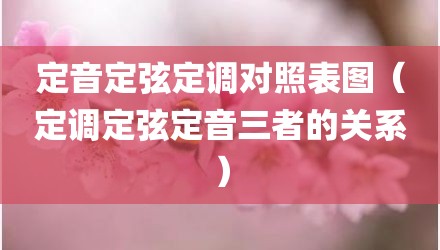 定音定弦定调对照表图（定调定弦定音三者的关系）