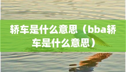 轿车是什么意思（bba轿车是什么意思）