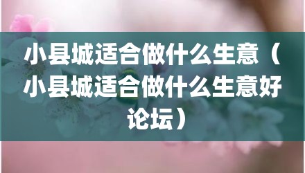 小县城适合做什么生意（小县城适合做什么生意好 论坛）