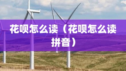花呗怎么读（花呗怎么读拼音）