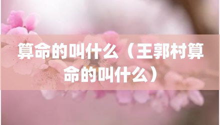 算命的叫什么（王郭村算命的叫什么）