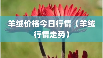 羊绒价格今日行情(羊绒行情走势)