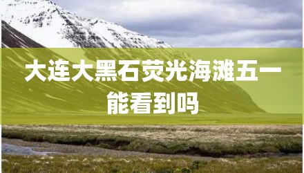 大连大黑石荧光海滩五一能看到吗