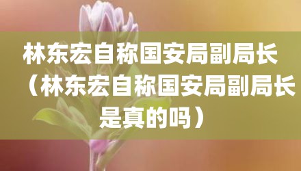 林东宏自称国安局副局长（林东宏自称国安局副局长是真的吗）