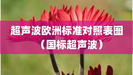 超声波欧洲标准对照表图（国标超声波）