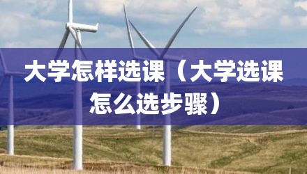 大学怎样选课(大学选课怎么选步骤)