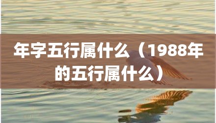 年字五行属什么(1988年的五行属什么)