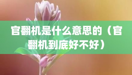 官翻机是什么意思的（官翻机到底好不好）