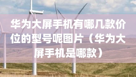 华为大屏手机有哪几款价位的型号呢图片(华为大屏手机是哪款)