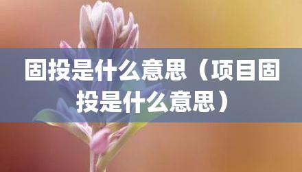 固投是什么意思（项目固投是什么意思）