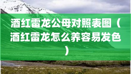 酒红雷龙公母对照表图（酒红雷龙怎么养容易发色）