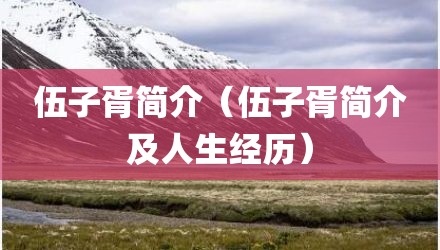 伍子胥简介（伍子胥简介及人生经历）