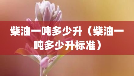 柴油一吨多少升（柴油一吨多少升标准）