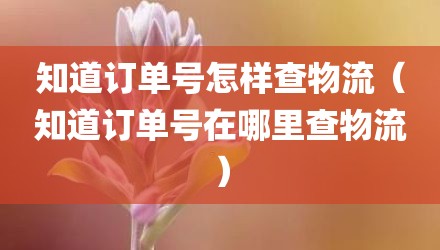 知道订单号怎样查物流（知道订单号在哪里查物流）