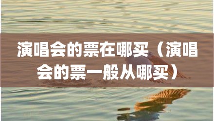 演唱会的票在哪买（演唱会的票一般从哪买）