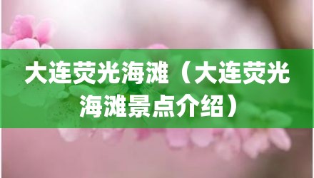 大连荧光海滩（大连荧光海滩景点介绍）