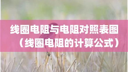 线圈电阻与电阻对照表图（线圈电阻的计算公式）