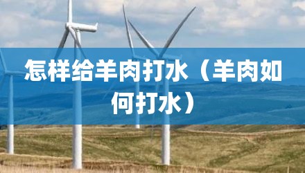 怎样给羊肉打水（羊肉如何打水）