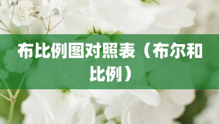 布比例图对照表（布尔和比例）