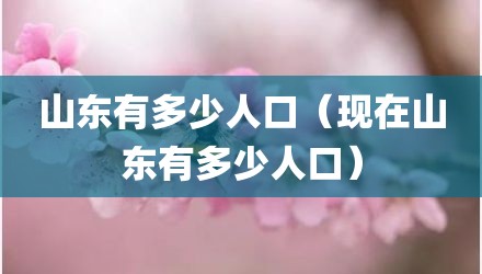 山东有多少人口（现在山东有多少人口）