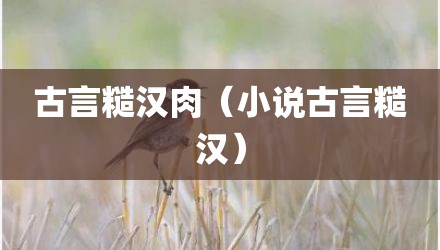古言糙汉肉（小说古言糙汉）