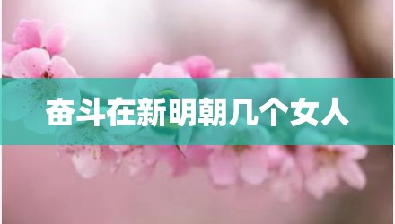 奋斗在新明朝几个女人