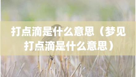 打点滴是什么意思（梦见打点滴是什么意思）