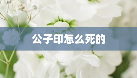 公子印怎么死的