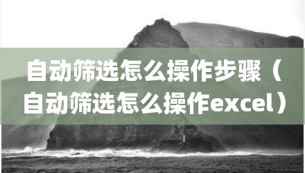 自动筛选怎么操作步骤（自动筛选怎么操作excel）