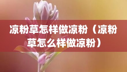 凉粉草怎样做凉粉（凉粉草怎么样做凉粉）