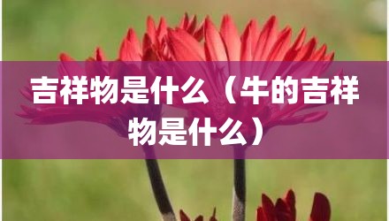 吉祥物是什么（牛的吉祥物是什么）
