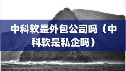 中科软是外包公司吗（中科软是私企吗）