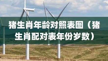 猪生肖年龄对照表图（猪生肖配对表年份岁数）